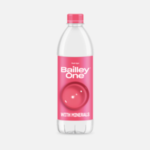 500 ML Pack of 24  - Bailley One